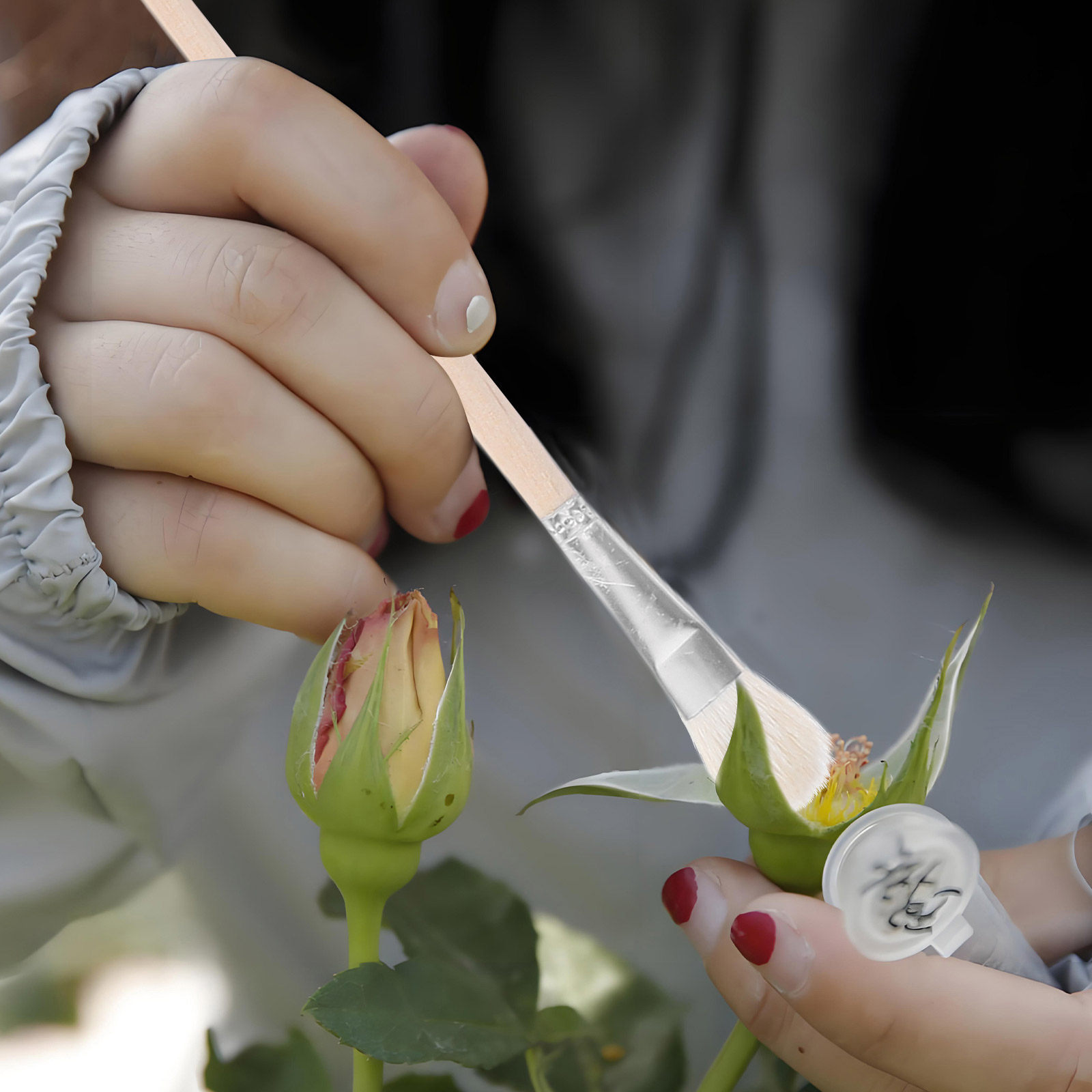 11Pcs Hand Pollination Brush f - Gardening Tools Hand recension och pris