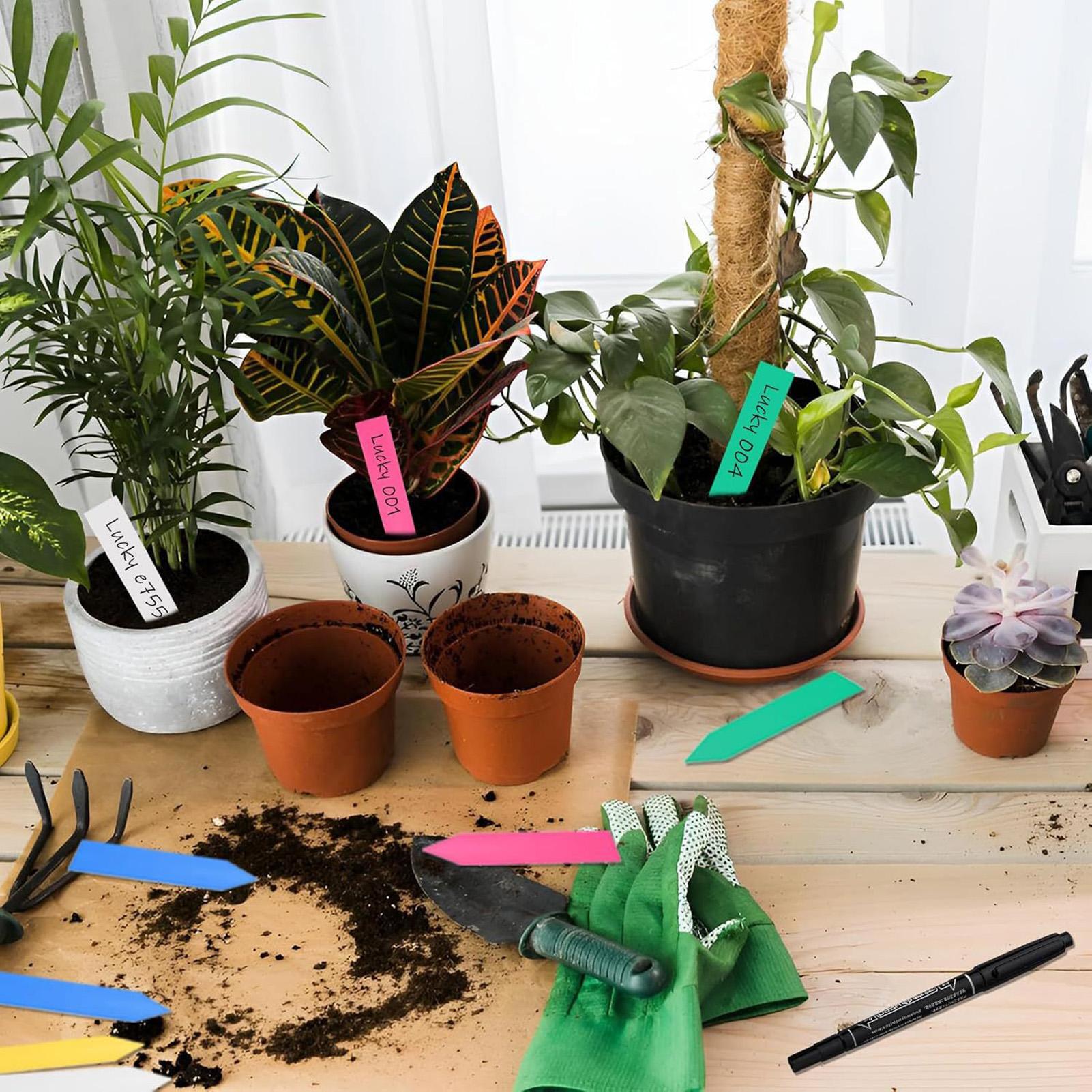 500Pcs Plant Labels Garden Sig - Plant Label Tags recension och pris