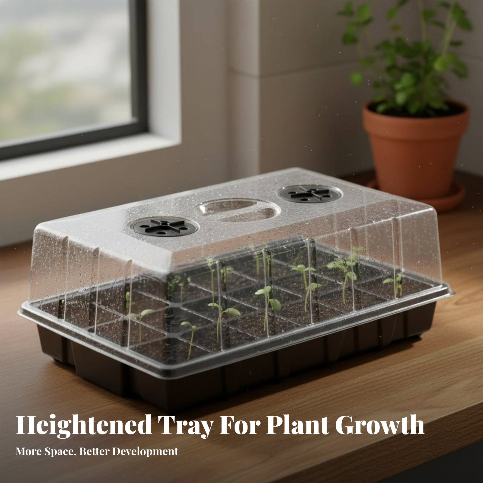 24 Compartment Nursery Tray Tr - Propagation Tray Dome recension och pris