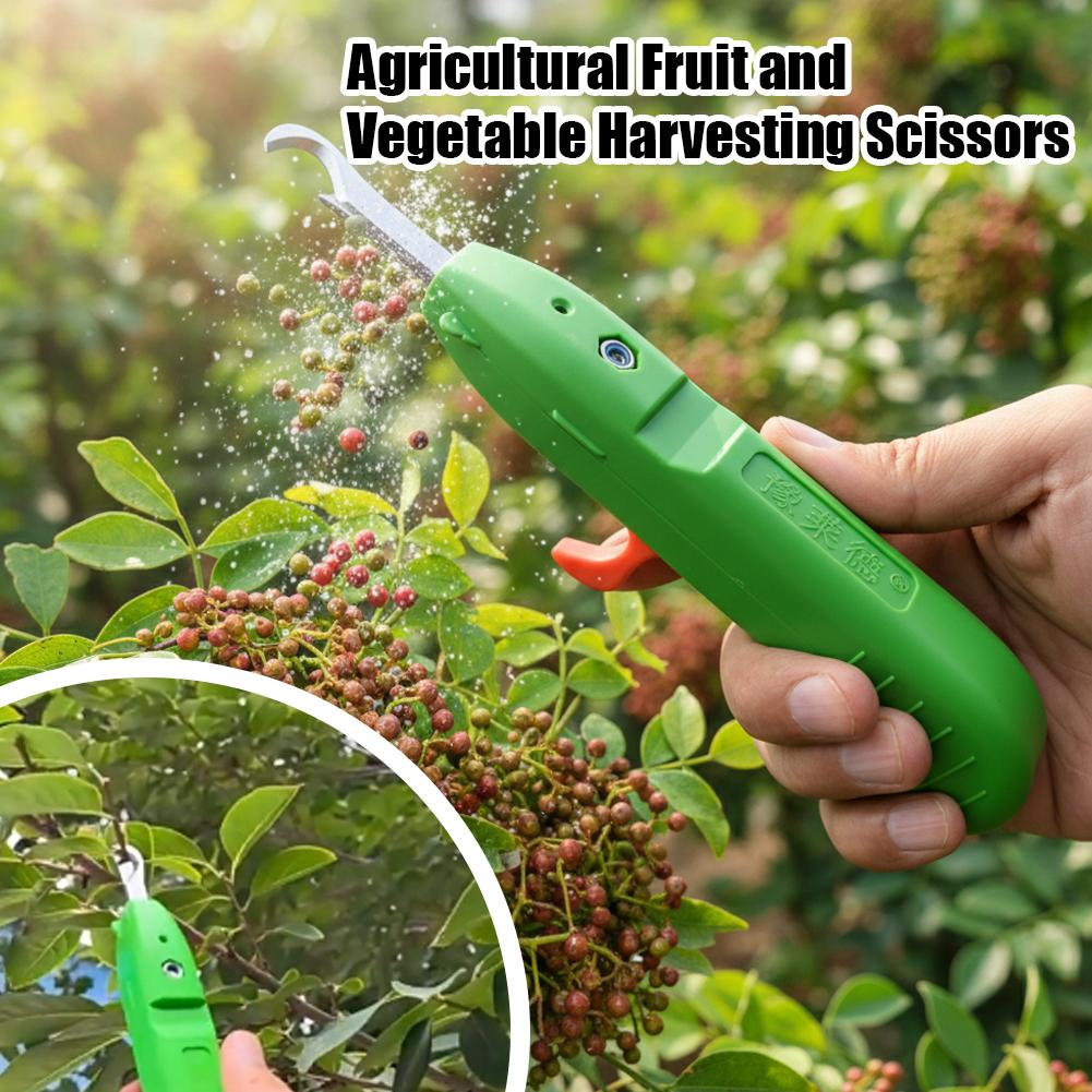 Fruit And Vegetable Picking Sh - Gardening Tools Hand recension och pris