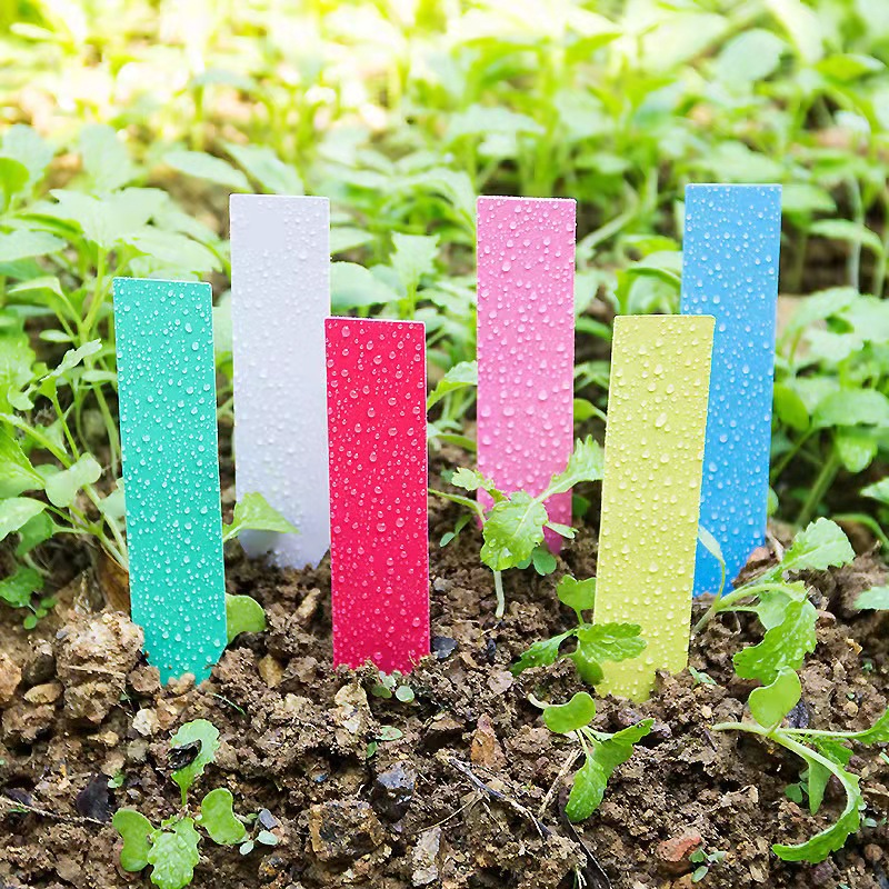 100Pcs Garden Plant Labels Pla - Plant Label Tags recension och pris
