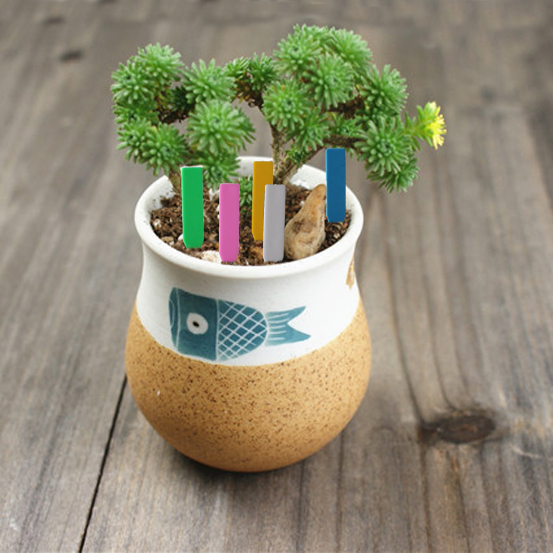 100Pcs Garden Plant Labels Pla - Plant Label Tags recension och pris