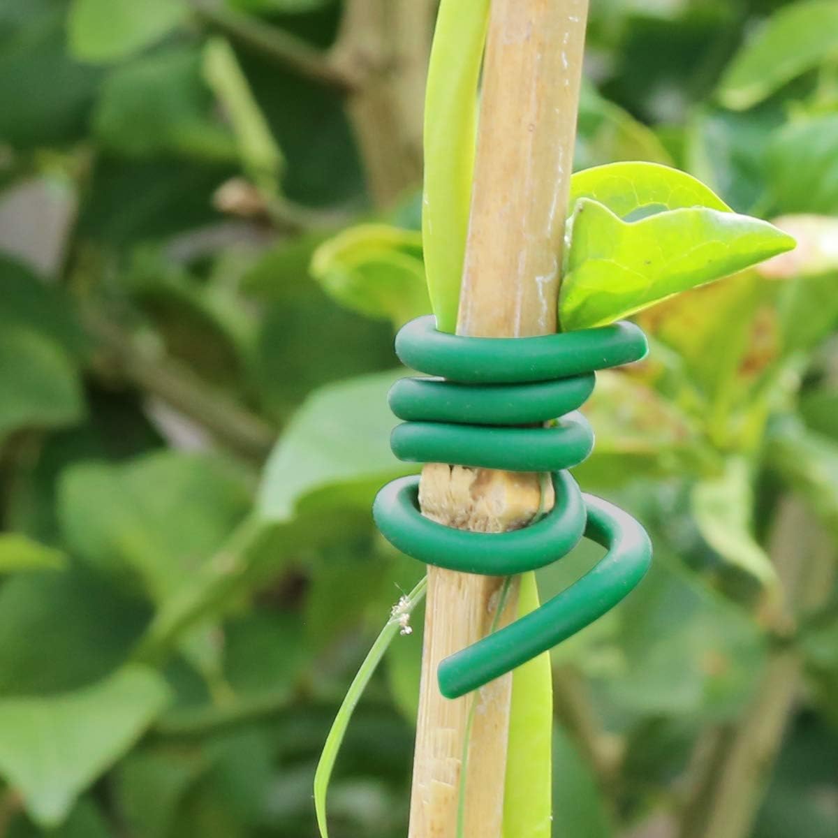 Garden Plants Climbing Tie Gre - Garden Wire Twist Tie recension och pris