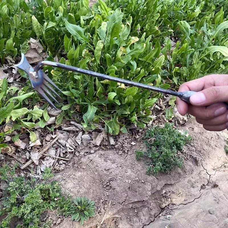 Garden Weeders Grass Hand Weed - Weed Puller recension och pris