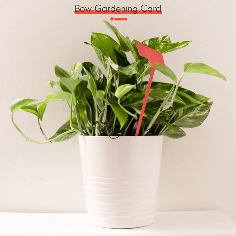 ABYP Gardens Planting Tools 50 - Plant Label Tags recension och pris