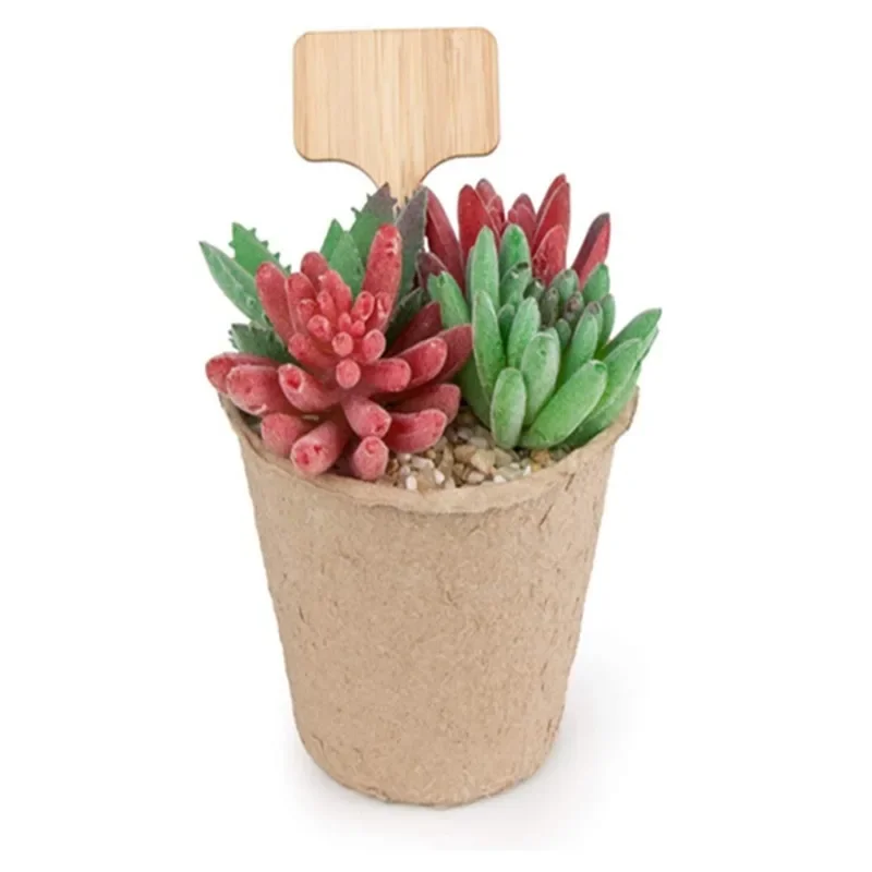 Garden Tags T-Type Bamboo Plan - Plant Label Tags recension och pris