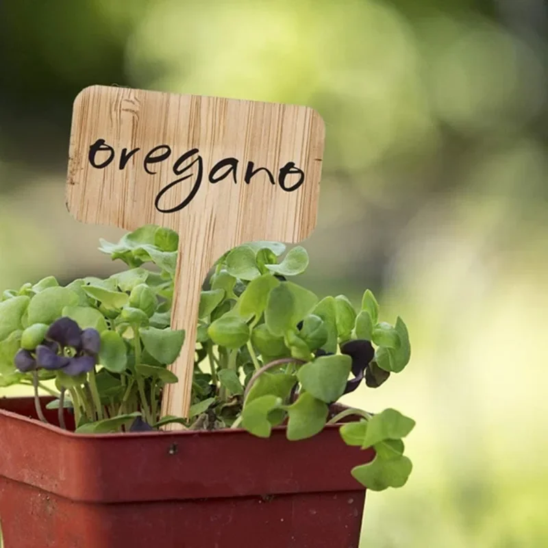 Garden Tags T-Type Bamboo Plan - Plant Label Tags recension och pris