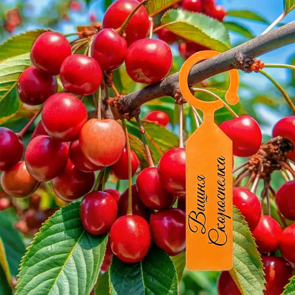 Garden Planting Tag Ring Hook  - Plant Label Tags recension och pris