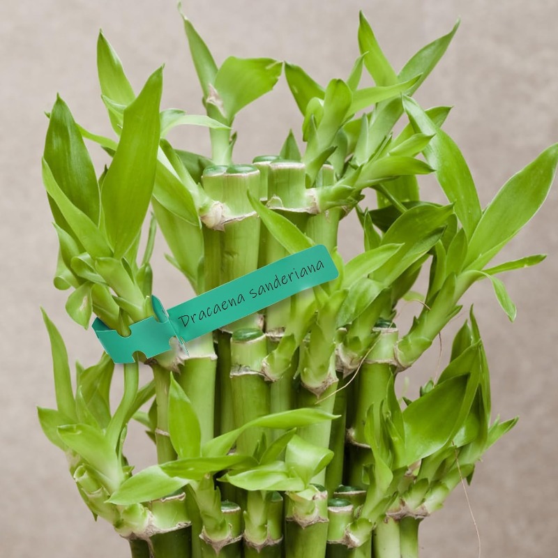 Plant Tag / Penanda Pokok / Ga - Plant Label Tags recension och pris