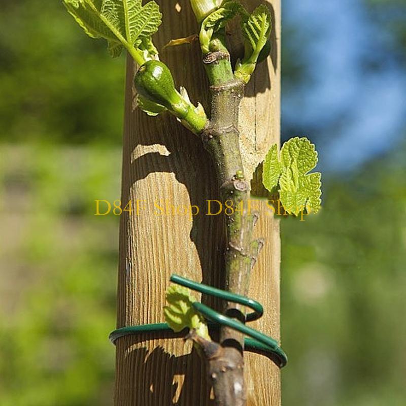 D84F Garden Wire Ties Plant Wi - Garden Wire Twist Tie recension och pris