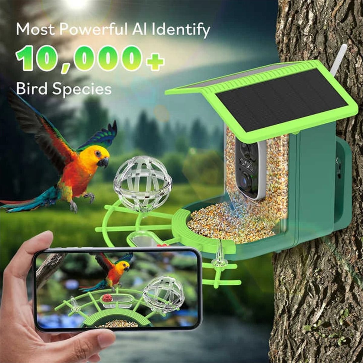 ABPP Smart Bird Feeder Camera  - Gardening Tools Video recension och pris
