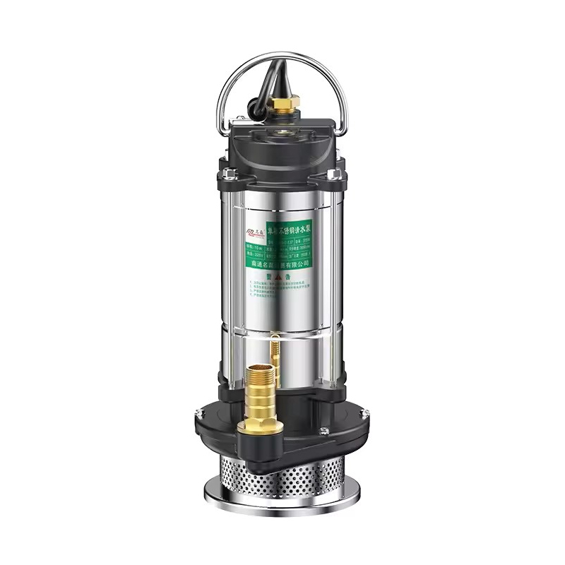 Stainless Steel Submersible Pu - Gardening Tools China recension och pris