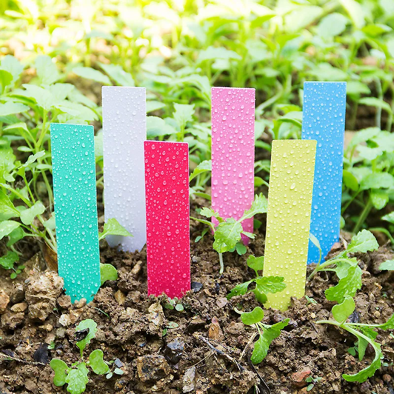 100pcs Thick 4inch Plant Label - Plant Label Tags recension och pris