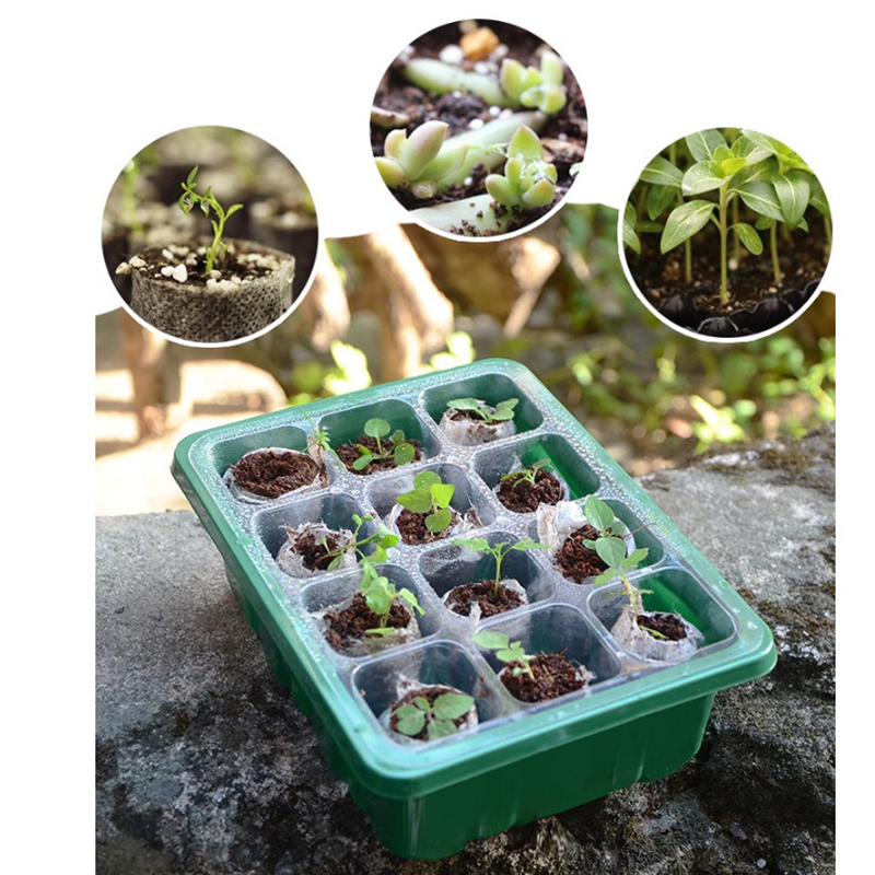 6/12 Holes Seed Starter Tray W - Propagation Tray Dome recension och pris