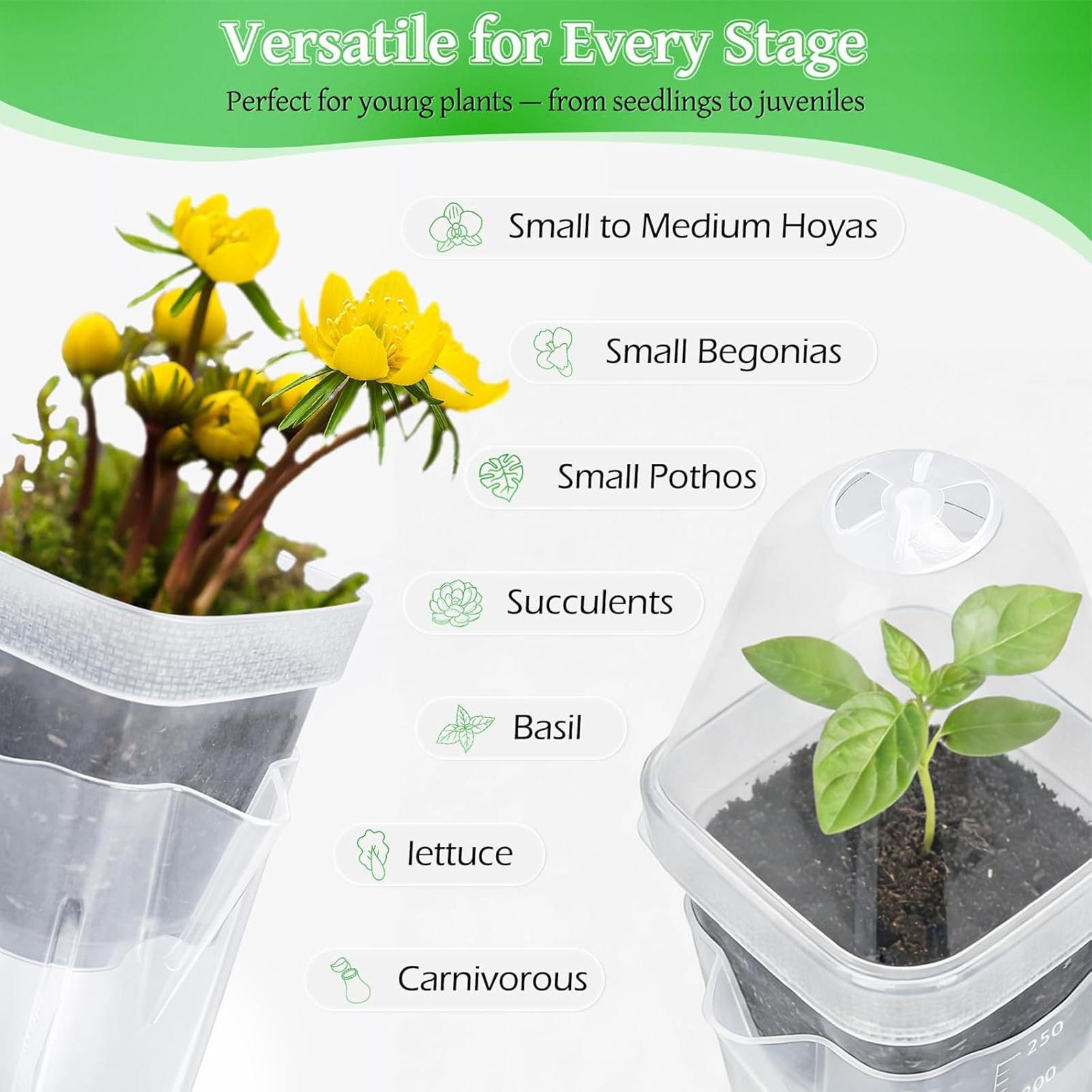 Self Watering Pots 12Pcs Seed  - Propagation Tray Dome recension och pris