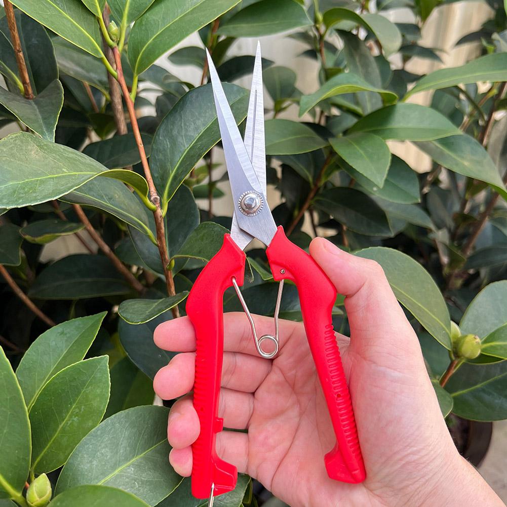 Pro Garden Pruning Shears Leng - Gardening Tools Hand recension och pris