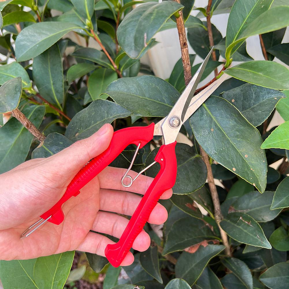 Pro Garden Pruning Shears Leng - Gardening Tools Hand recension och pris