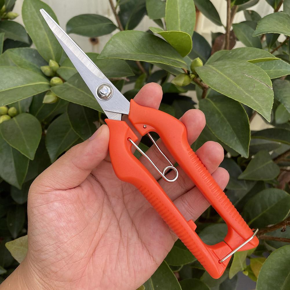 Pro Garden Pruning Shears Leng - Gardening Tools Hand recension och pris