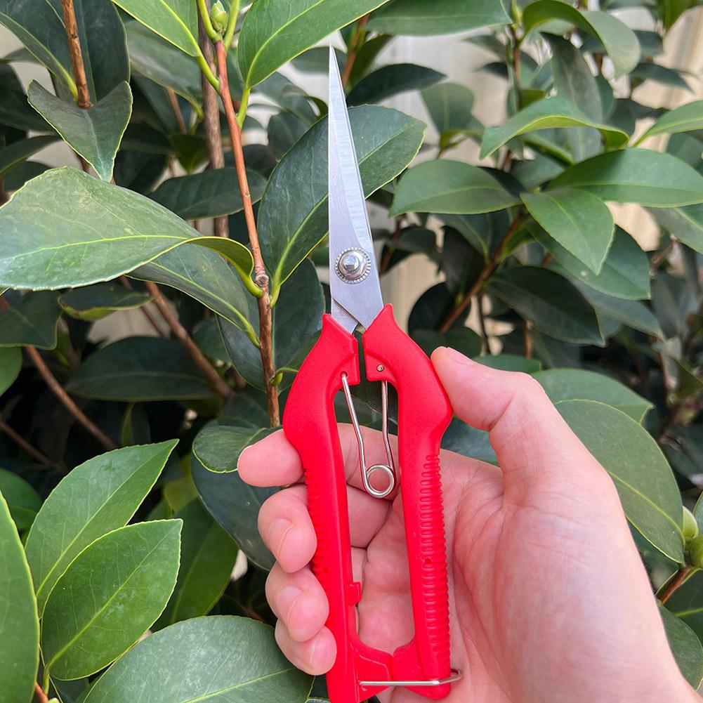 Pro Garden Pruning Shears Leng - Gardening Tools Hand recension och pris