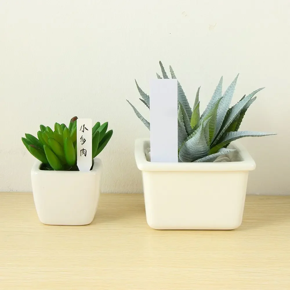 100Pcs Reusable Classification - Plant Label Tags recension och pris