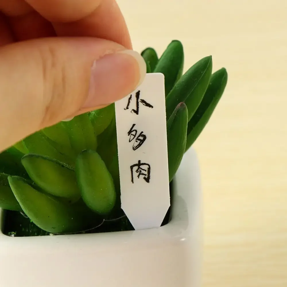 100Pcs Reusable Classification - Plant Label Tags recension och pris