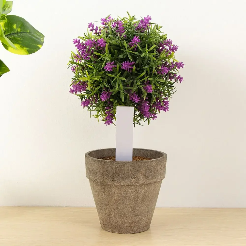100Pcs Reusable Classification - Plant Label Tags recension och pris