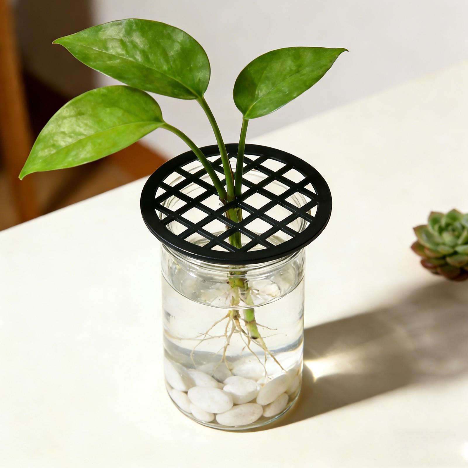 Plant Branch Support 4Pcs Gree - Propagation Tray Dome recension och pris