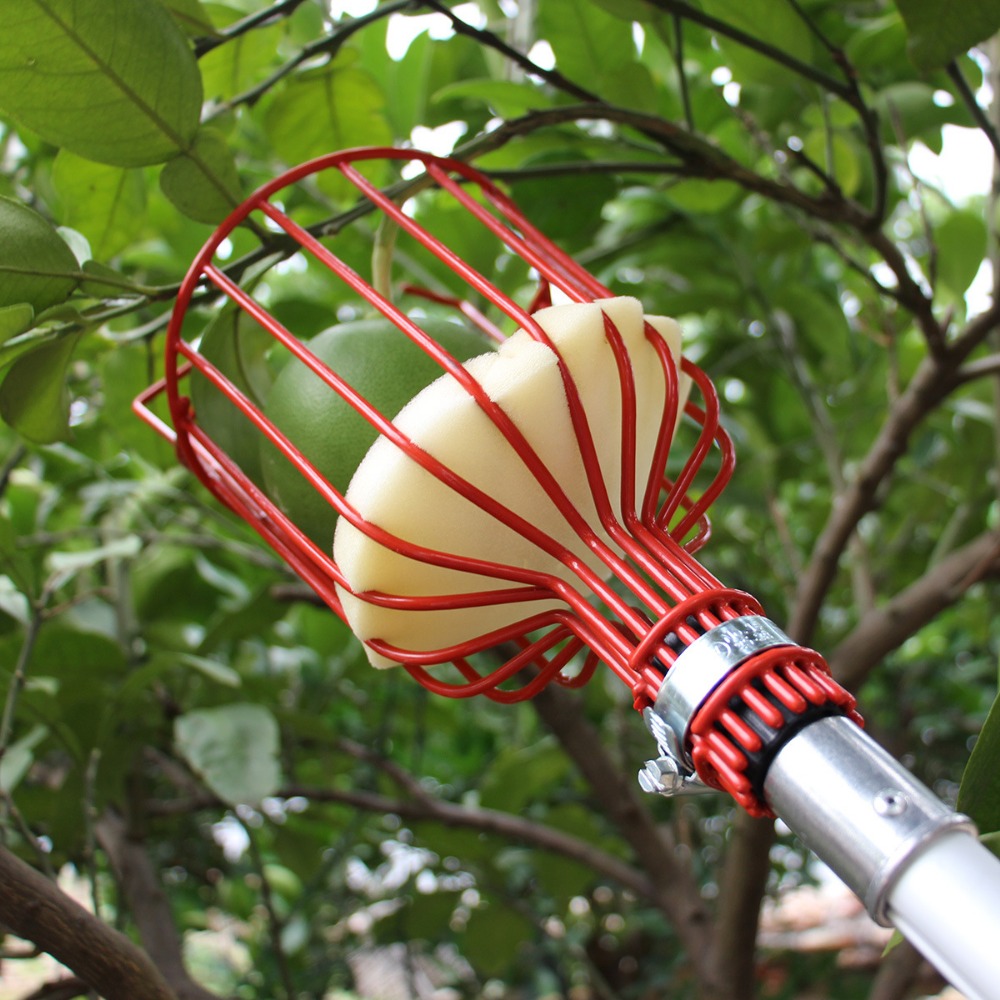 Metal/Plastic Fruit Picker Hea - Gardening Tools Hand recension och pris